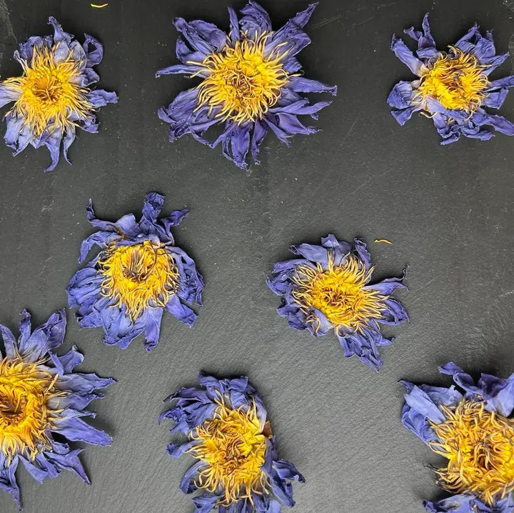 Blue Lotus Whole Flower image 0