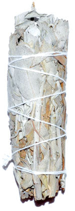 White Sage bundle image 0