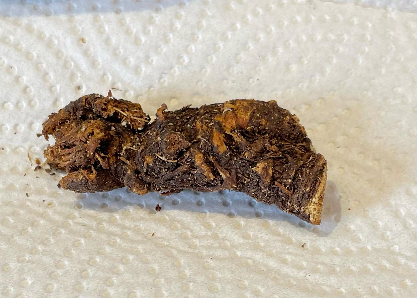 OSHA or Bear Root image 0