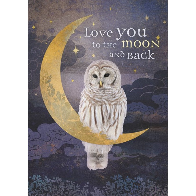 Owl Moon image 0